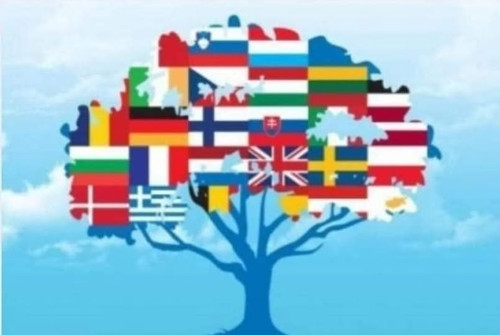 554102934 1245198264289624 5042837397000973659 n.jpg?stp=dst jpg p180x540 tt6& nc cat=104&ccb=1 7& n.jpg