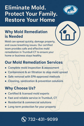Trusted Mold Remediation in Trumbull CT.jpg