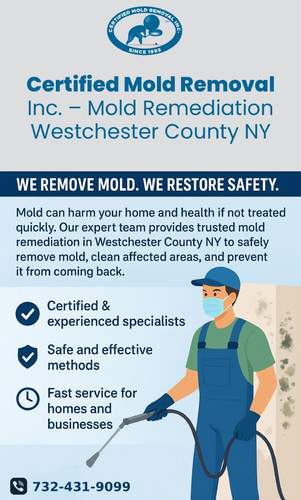 Professional Mold Remediation in Westchester County NY.jpg