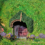 004 Bag End on the Hill Outside pics
