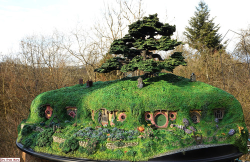 001 Bag End on the Hill Outside pics.jpg