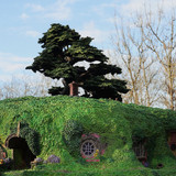 009 Bag End on the Hill Outside pics