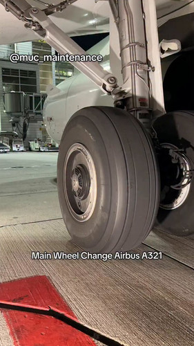 15IdJqEqZBtt5M c.jpg