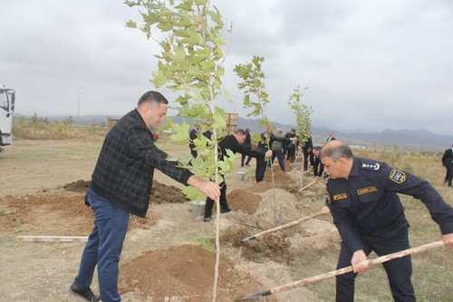 554977924 789699140482743 2731316242513179662 n.jpg?stp=dst jpg p526x395 tt6& nc cat=100&ccb=1 7& nc.jpg