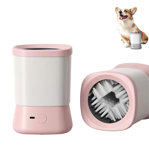 61+GM4dPo2L. SL1500 .jpg