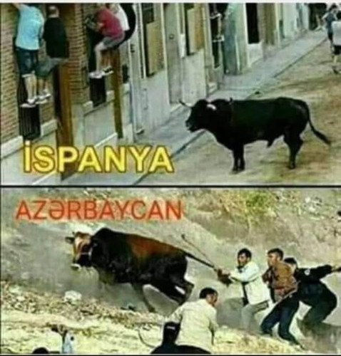 555542286 2969051519970382 6499857924723657177 n.jpg?stp=dst jpg p180x540 tt6& nc cat=110&ccb=1 7& n.jpg