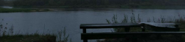 New Project (90).png