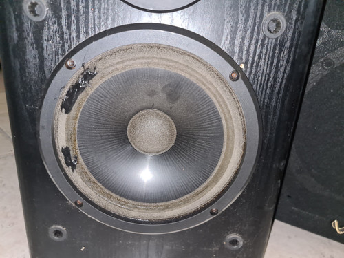 20250921 090144 resized.jpg