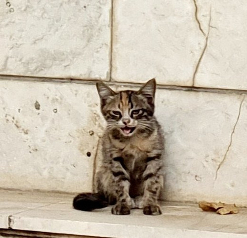 G049flzWcAAiAk ?format=jpg.jpg