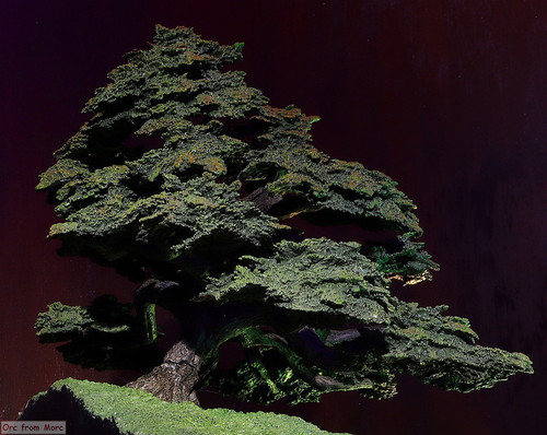 018 Bag End on the Hill inside pics.jpg