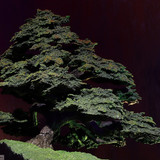 018 Bag End on the Hill inside pics