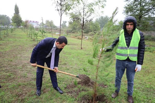 556106003 1445651297567158 2008515123386868596 n.jpg?stp=dst jpg p526x395 tt6& nc cat=103&ccb=1 7& n.jpg