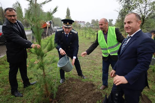 554811472 1445651264233828 3804013239277319754 n.jpg?stp=dst jpg p526x395 tt6& nc cat=109&ccb=1 7& n.jpg