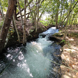 Sonrosal