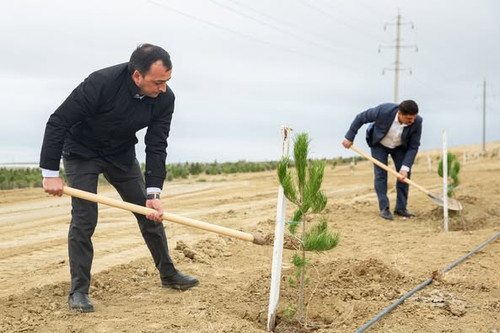 554516919 1212194697618319 4811952690857744865 n.jpg?stp=dst jpg p526x395 tt6& nc cat=111&ccb=1 7& n.jpg