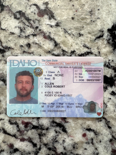 Cole Robert Allen license image.jpg