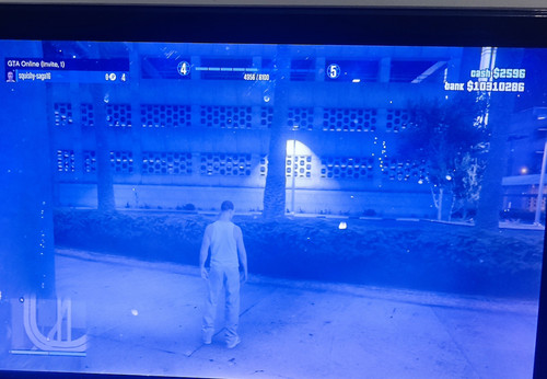 IMG 20250927 101702.jpg