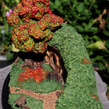 004 #18 Gardens Smial