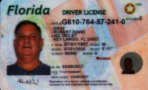 Robert D Graf license image.png