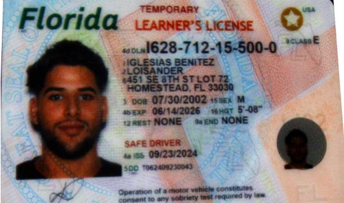 Loisander Iglesiasbenitez license image.png