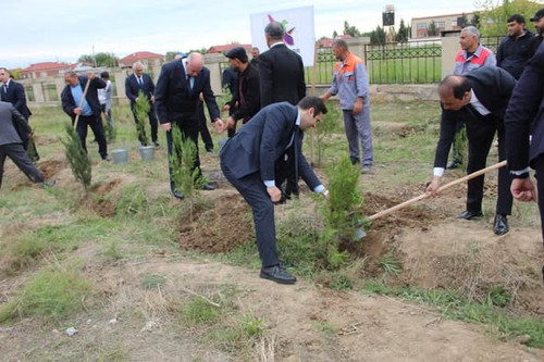 555968441 1104436788541160 357740989045036755 n.jpg?stp=dst jpg p526x395 tt6& nc cat=105&ccb=1 7& nc.jpg