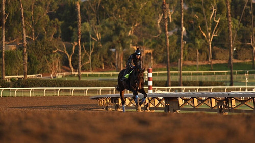 ZMubtdmNn HP9OUe.jpg