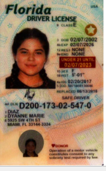 Dyanne Diaz license image.png