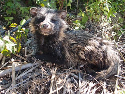 OLYMPUS DIGITAL CAMERA.jpg