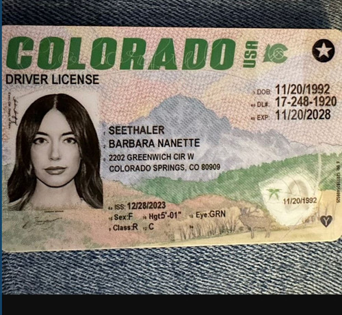 Barbara Nanette Seethaler license image.jpg