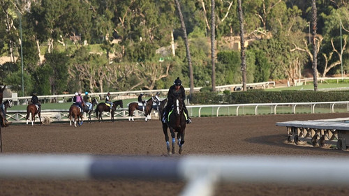 mUwuA7T 6sRH53Rj.jpg