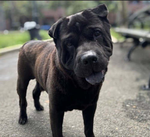 G003fx XAAAgBOA?format=jpg.jpg