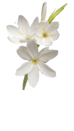 ไม่มีชื่อ 75 20250928050253.png