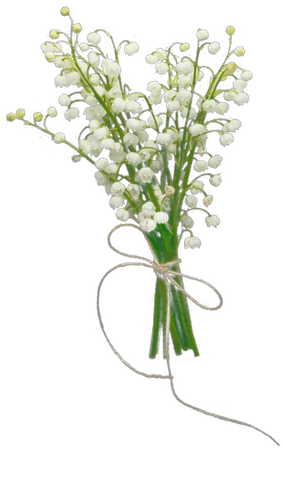 ไม่มีชื่อ 75 20250928050347.png