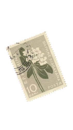 ไม่มีชื่อ 75 20250928051919.png