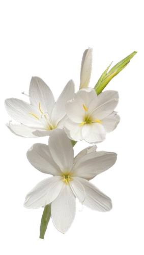 ไม่มีชื่อ 75 20250928050159.png