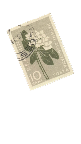 ไม่มีชื่อ 75 20250928052009.png