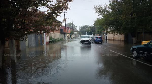 556444943 1722956238505012 8054003451421438719 n.jpg?stp=dst jpg s600x600 tt6& nc cat=100&ccb=1 7& n.jpg