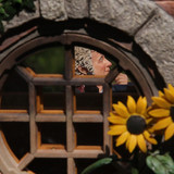 018 Bilbo Baggins in Bag End
