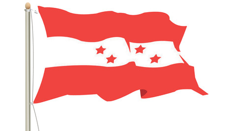 Congress Flag.jpg