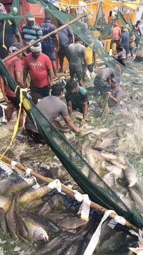 zlELoBVP a4RGeSm.jpg