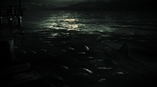 shark.gif