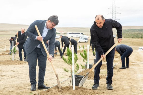 554967767 1212194734284982 7631497532961240808 n.jpg?stp=dst jpg p526x395 tt6& nc cat=104&ccb=1 7& n.jpg