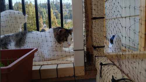 D%WNYNM V8EE$I`JR%D498J