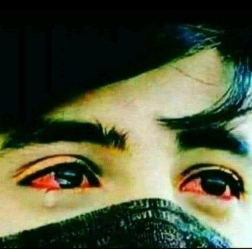 504035184 580165358468643 6074467149439974580 n.jpg