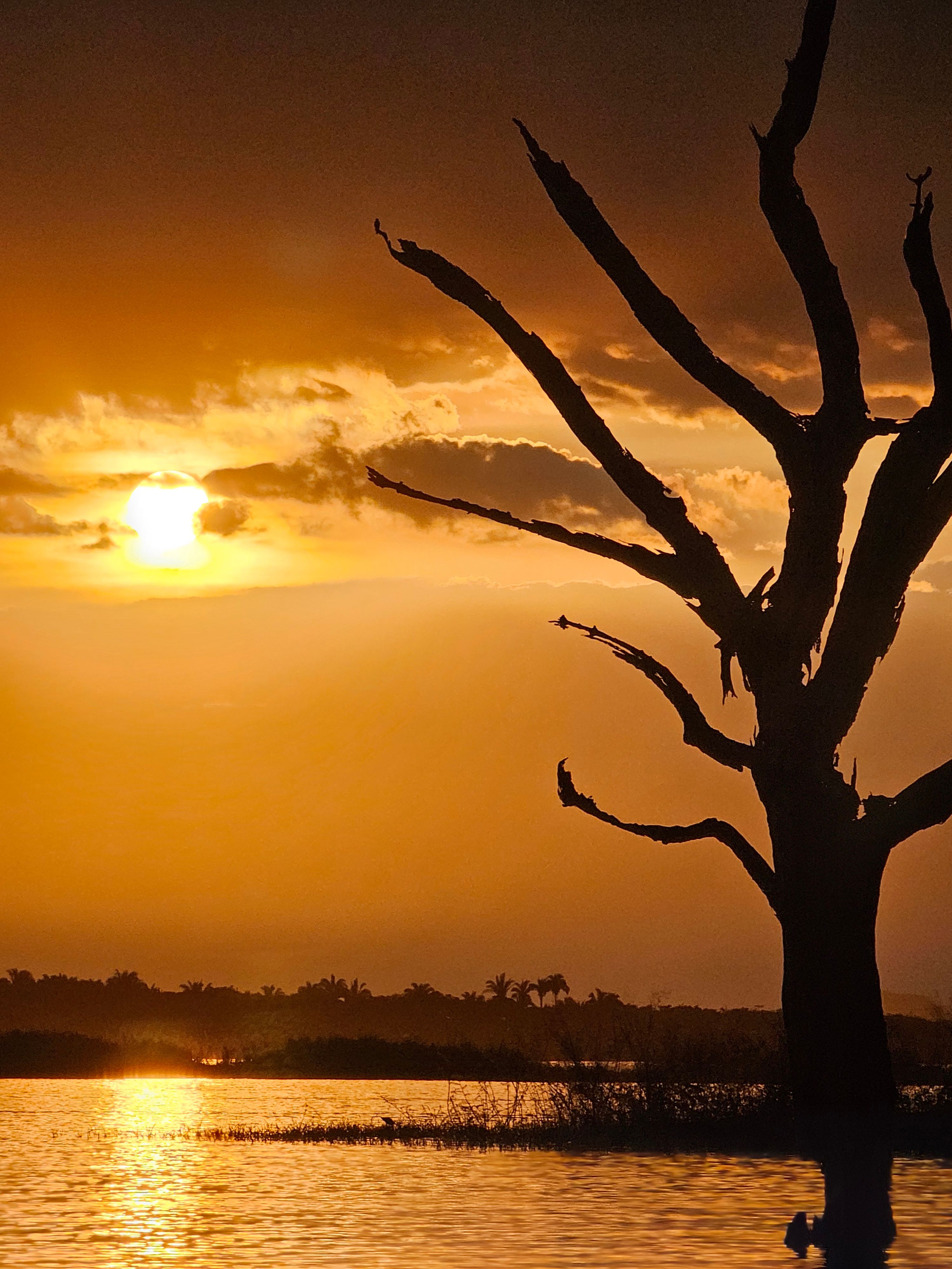 Passeio de barco (opcional)