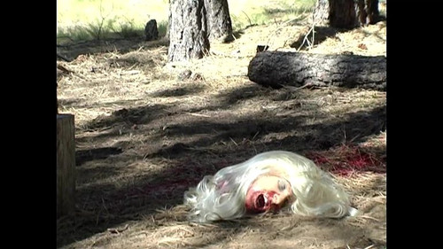 vlcsnap 2025 09 22 00h01m48s812 768x432.jpg