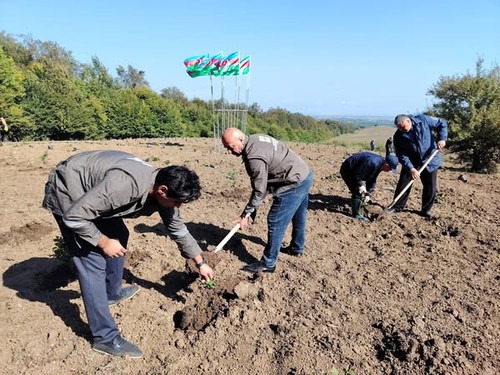 555114413 1212110634293392 2448185957117370909 n.jpg?stp=dst jpg s600x600 tt6& nc cat=110&ccb=1 7& n.jpg