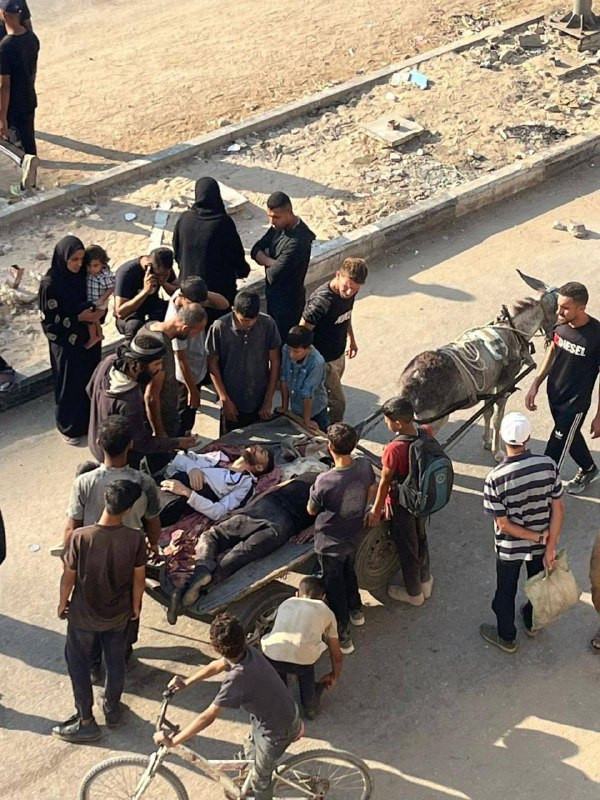 متابعة ميدانية: تقدم للآليات الإسرائيلية بالمحور الشمالي نحو مخيم الشاطئ، فيما ارتفعت وتيرة القصف المدفعي بشكل كبير مع سماع إطلاق نار متقطع من الدبابا...