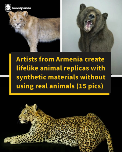 faux animal replicas synthetic materials life like fauxanimalreplicas.png
