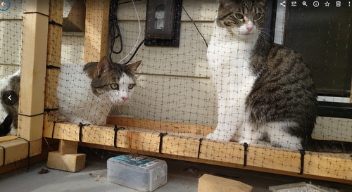 X%DJ1R9YVA[V{~}40V0~@U2